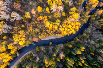 Small mountain river in autumn forest from a high point of view.