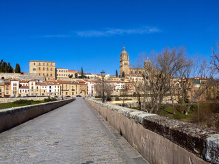 Fototapeta na wymiar Vista de Salamanca desde el puente romano. Castilla y León, España.
