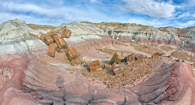 Giant pieces of broken petrified wood in Jasper Forest at Petrified Forest National Park, Arizona