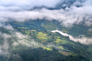 Fototapeta premium Admire the beautiful terraced fields in Y Ty commune, Bat Xat district, Lao Cai province northwest Vietnam on the day of ripe rice harvest.