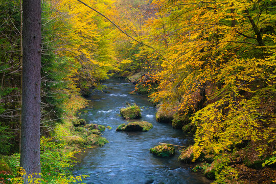 Kamenice River in autumn, Bohemian Switzerland National Park, Hrensko, Decin District, Usti nad Labem Region