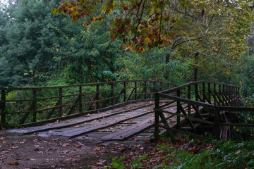 Wooden bridge across the river in the autumn park