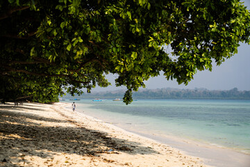 Beach ocean trees  © Studio-Zenner
