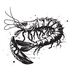 Shrimp vector, shrimp hand drawn sketch black outline vector