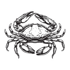 Brown Crab vector, Crab hand drawing sketch black outline vector on white background.