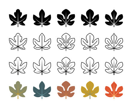 Fig tree leaf vector icons. Isolated fig leaf icon collection for websites on white background.