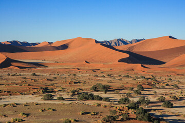 Fototapeta na wymiar Sand Dunes of the Sossusvlei in Namibia