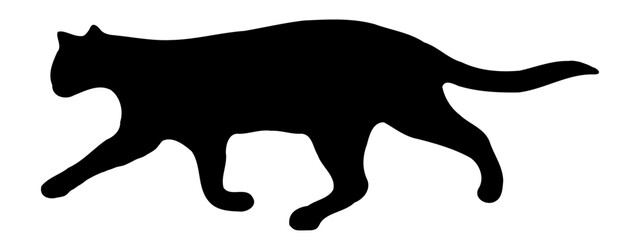 Cat vector silhouette isolated on white background, black cat illustration, icon for web design, ui, app