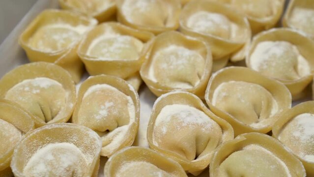Raw stuffed homemade pasta cappelletti on a tray. Close up.