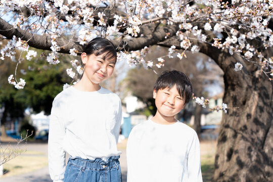 桜の木の下で寄り添う小学生の子供