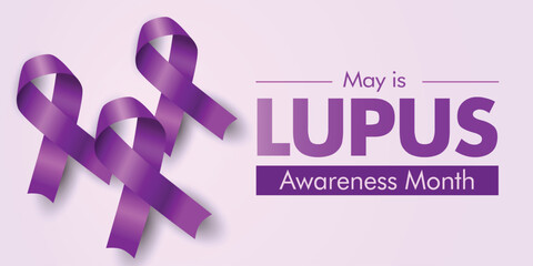 Lupus Awareness Month. May celebration for lupus education. Vector banner with three purple ribbons.