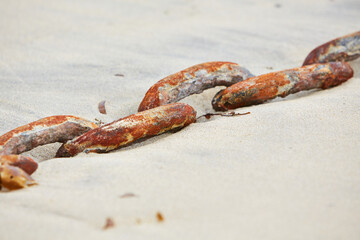 Mousehole, Cornwall, UK - old rusty chain half buried in sand of low tide harbour