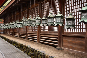 Nara park, Japan