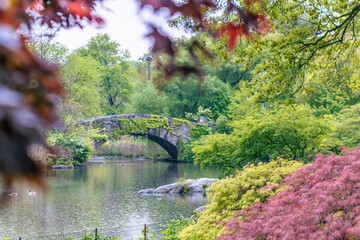 Central Park NYC spring season bloom famous bridge