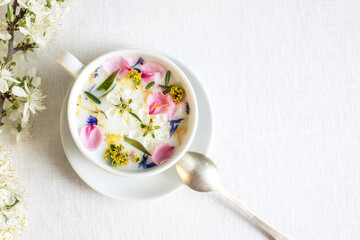 Herbal milk tea in a white tea cup on a white canvas and a natural flowering branch. Top view, space for text.