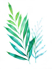 Green leaves, foliage watercolor, hand drawn, isolated on white background. Stylized set of contrasting grass stems, greenery as design elements. Nature concept. Abstract botanical art.