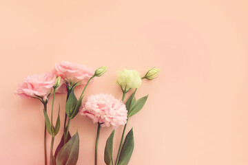 Top view image of delicate flower over pastel background