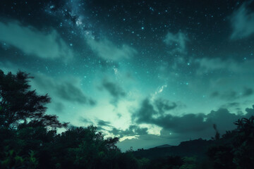 Fototapeta na wymiar night landscape with green sky Generative AI