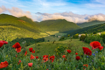 Vista all'alba da Elcito	