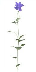 Naklejka na ściany i meble Single plant with white background, generative AI