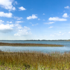 A marshy shore in Beaufort in South Carolina