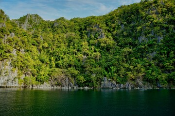 Fototapeta na wymiar Majestic rocks in Coron, Palawan in the Philippines that are overgrown with shrubs and rise out of the water.