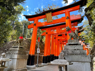伏見稲荷神社(Fushimi Inari Shrine)