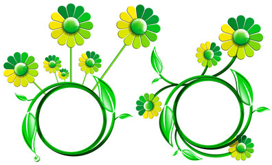 Frames with green leaves and daisy flowers isolated on white or transparent background with copy space. 3d illustration. Png.
