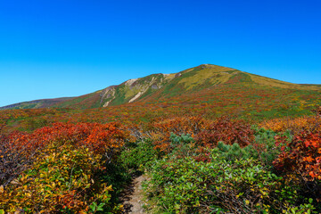 神の絨毯　日本一美しい紅葉　栗駒山　東北観光10月