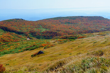 神の絨毯　日本一美しい紅葉　栗駒山　東北観光10月
