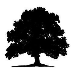 silhouette of tree on a transparent background. 