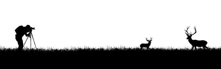 Silhouette of a professional photographer taking photos of wildlife.