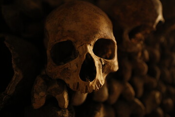 Skulls and Bones in Dark Catacombs