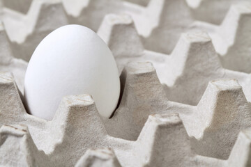 Close-up of One egg in an egg carton tray