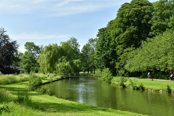 Le feuillage dense des arbres le long des étangs au Vrijbroekpark à Malines 