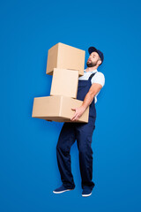Full size body portrait of busy attractive deliver in blue uniform with stubble, having three heavy big boxes in arms, isolated on grey background, trying to withhold