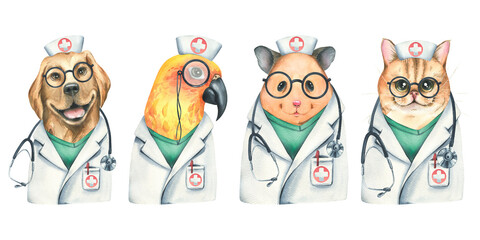 Doctor animals, cat, dog, hamster, parrot in medical clothes. Watercolor illustration. Set from the VETERINARY collection. For the design and design of clinics, hospitals and pharmacies. © NATASHA-CHU