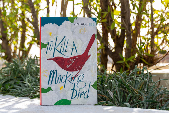 Close up Harper Lee's To Kill a Mockingbird novel in the garden.