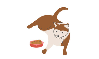 Cat with bowl food isolated on white background. Design vector illustration