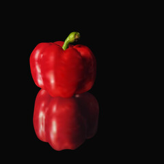 Realistic vector red Bell pepper on black background with reflection in the table.