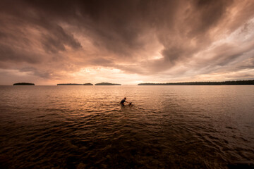 Dog and child at play