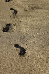 footprints in the sand