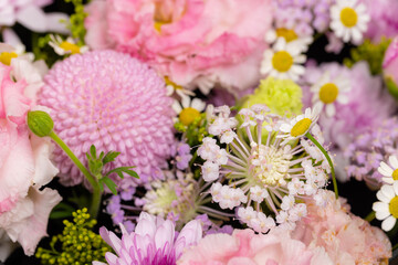 Mixed selection of purple blossoms