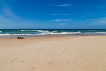 Beautiful beach in Alentejo