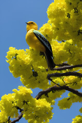 Cute Yellow Bird On A Flower Tree created with generative AI technology