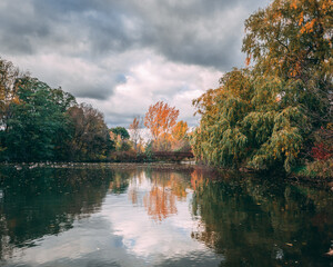 Landscape of autumn trees reflecting on a lake under a dramatic cloudy sky