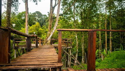 Fototapeta na wymiar beautiful and amazing wooden bridge