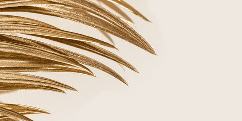 Golden palm leaf close up as trend design background, beige monochrome image. Smooth  lines of...