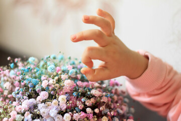 person holding flowers