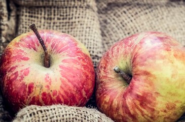 Closeup of two fresh apple fruits